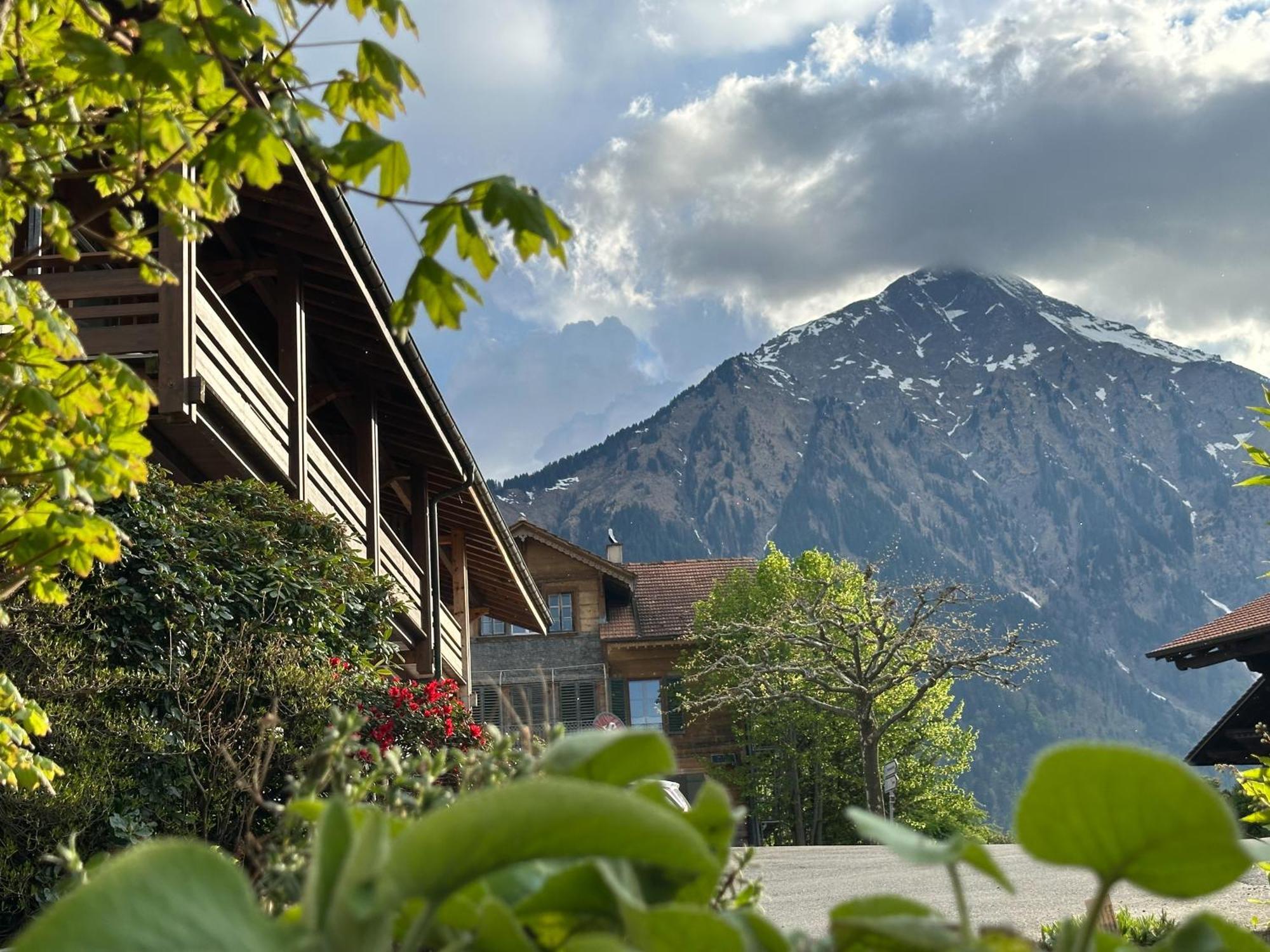 Hotel Aeschipark Aeschi Bei Spiez Extérieur photo